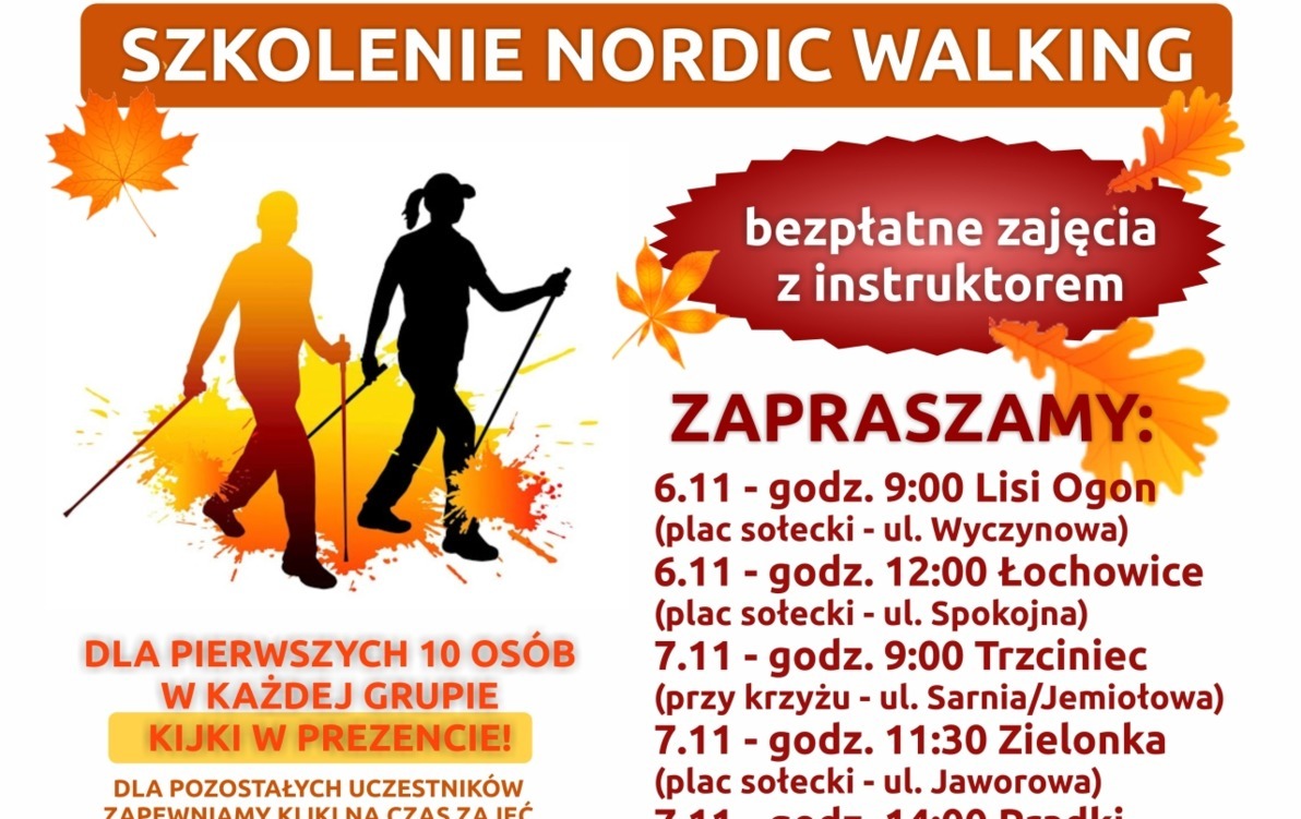 Zdjęcie do Kolejne warsztaty Nordic Walking