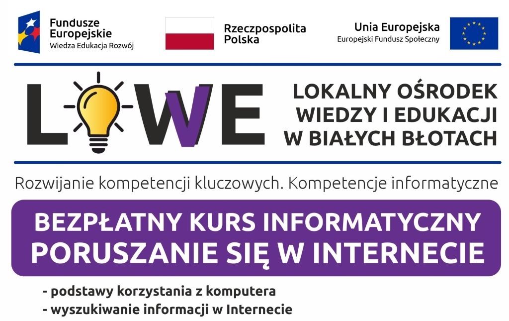 Zdjęcie do LOWE - Kurs poruszania się w Internecie